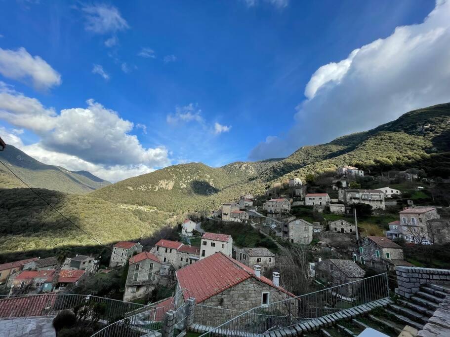 Casa Arena Authentique Maison De Village Avec Piscine Au Coeur De L'Alta Rocca - Zoza ภายนอก รูปภาพ