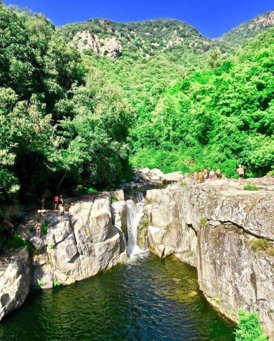 Casa Arena Authentique Maison De Village Avec Piscine Au Coeur De L'Alta Rocca - Zoza ภายนอก รูปภาพ