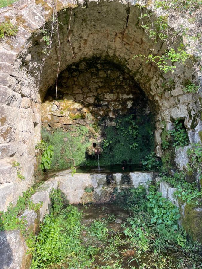 Casa Arena Authentique Maison De Village Avec Piscine Au Coeur De L'Alta Rocca - Zoza ภายนอก รูปภาพ