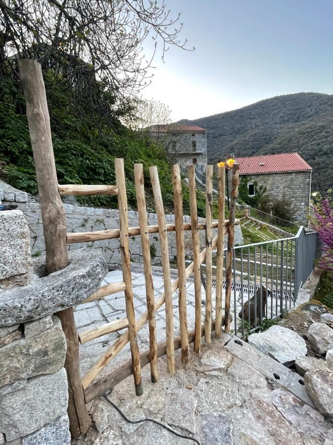 Casa Arena Authentique Maison De Village Avec Piscine Au Coeur De L'Alta Rocca - Zoza ภายนอก รูปภาพ